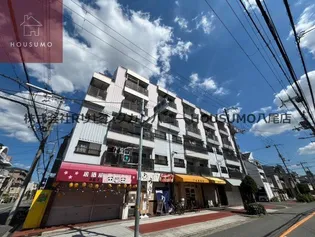 大阪府大阪市平野区平野西3丁目【マンション】の外観