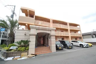 セレンディピティ O Vの画像