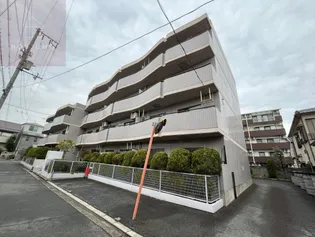 シロハイヌ小阪の画像