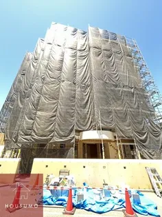 アコール隆豊の画像