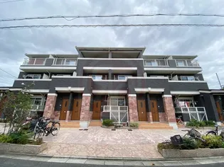 ストレリチア オーガスタの画像