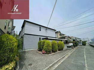 コータコートの画像