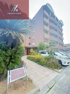 ミカド21の画像