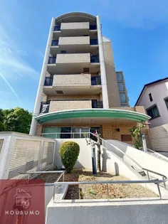 プリムールの画像