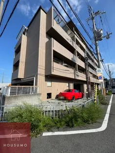 ドルフナガサワの画像