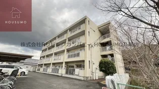 セゾン八尾東の画像