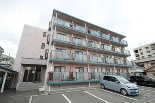 大阪府東大阪市若江西新町4丁目【マンション】の外観