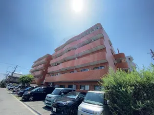 ブルースカイの画像