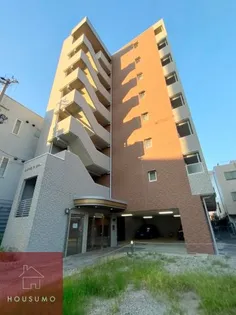 サイプレス ワンの画像