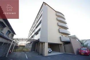 ヴィブレムライの画像