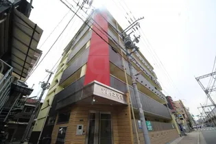 ソレイユ発春の画像