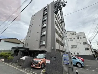 GRACE COURTIIの画像