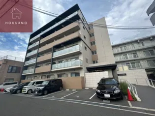 SHAMROCK Nの画像
