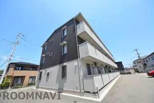 アモーレの画像