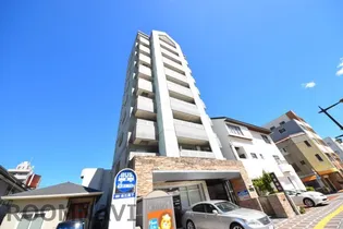 ロワイヤル徳島【9階】の外観