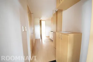 ルミナスハイム遠藤【1階】の玄関