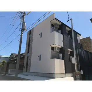 アパレシーダの画像