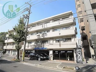 パレグレィス ヒエダの画像