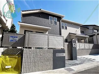 クロリス摩耶の画像