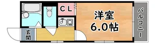 神ノ木ハイム【1階】の間取り