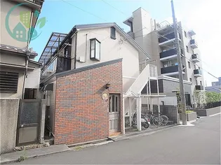 パープル ハイムの画像