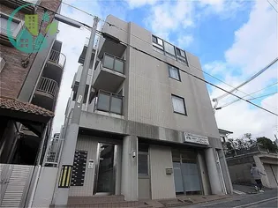 LUCE SHINOHARAの画像