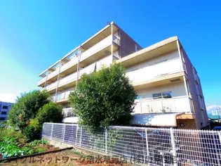 静岡県静岡市駿河区栗原【マンション】の外観