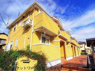 ノーチェの画像