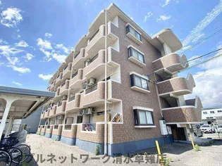 静岡県静岡市清水区半左衛門新田【マンション】の外観