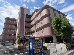 奈良県大和高田市田井新町【マンション】の外観