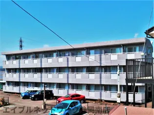 メイ フェアの画像