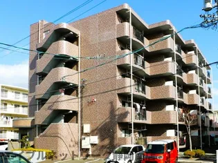 スーペリアSの画像