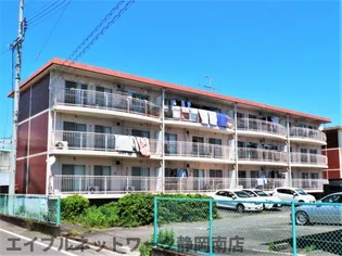 中島グリーンハイツ南棟の画像