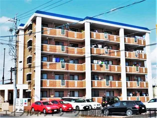 レイセレッソ【403号室】の外観