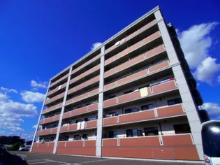 オーリックの画像