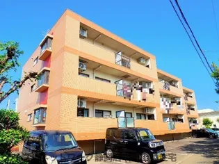 静岡県静岡市駿河区下川原5丁目【マンション】の外観