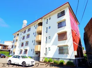 静岡県静岡市駿河区丸子新田【マンション】の外観