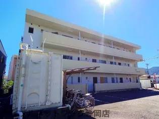 静岡県静岡市駿河区丸子新田【マンション】の外観