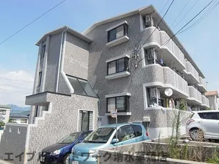 セレーノYの画像