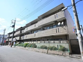 フェリス駅前の画像
