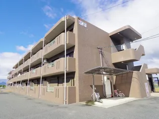 奈良県桜井市大字東新堂【マンション】の外観