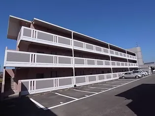 メゾンフィールドノートの画像