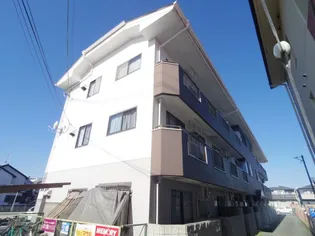 ウエストパディの画像