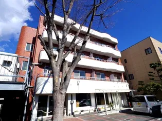 静岡県静岡市清水区川原町【マンション】の外観