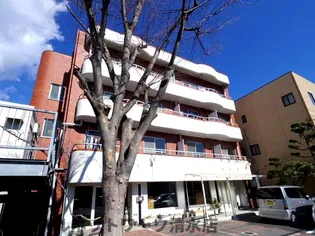 静岡県静岡市清水区川原町【マンション】の外観