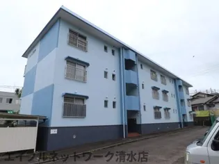 静岡県静岡市清水区村松【マンション】の外観