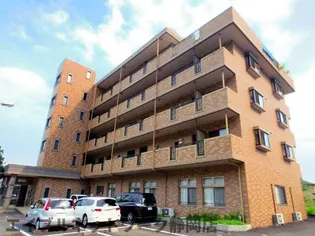 静岡県静岡市葵区羽鳥5丁目【マンション】の外観