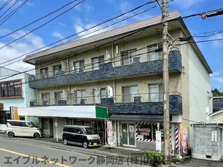 静岡県静岡市葵区岳美【マンション】の外観