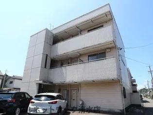 静岡県静岡市清水区有東坂1丁目【マンション】の外観