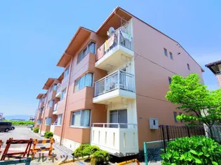 アバンギャルド秋の画像